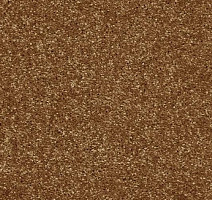 Ковролин AW Invictus Atticus Atticus 80 фото 1 | FLOORDEALER